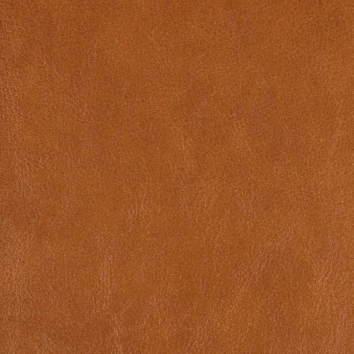 KRAVET DESIGN - KRAVET DESIGN- ZENON-6 - Fabric by the Yard - ZENON-6