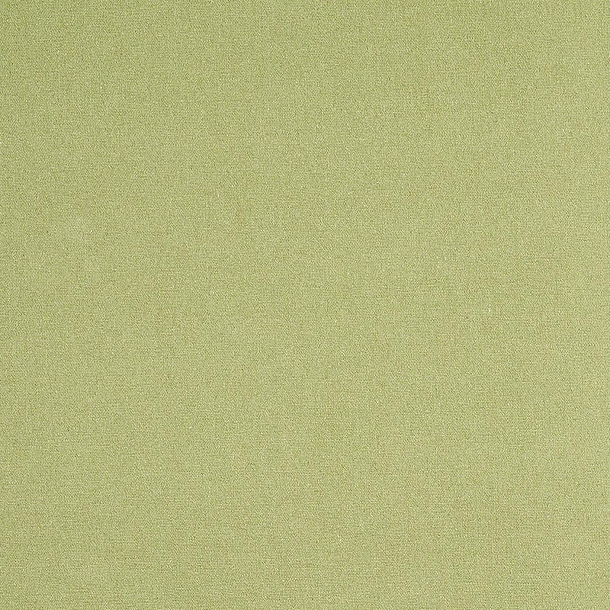 Albert Performance Cotton Green Fabric