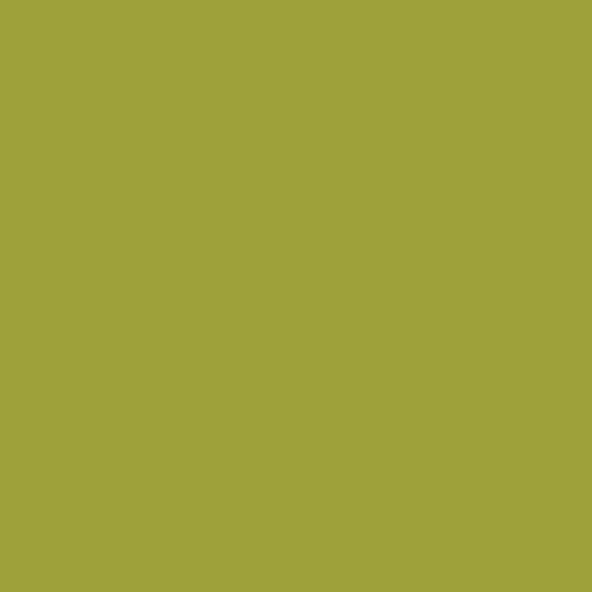 Art Gallery Pure Solids - Parrot