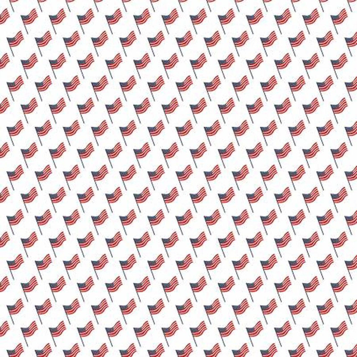 Stars and Stripes Forever Flags White Patriotic C15713-WHITE