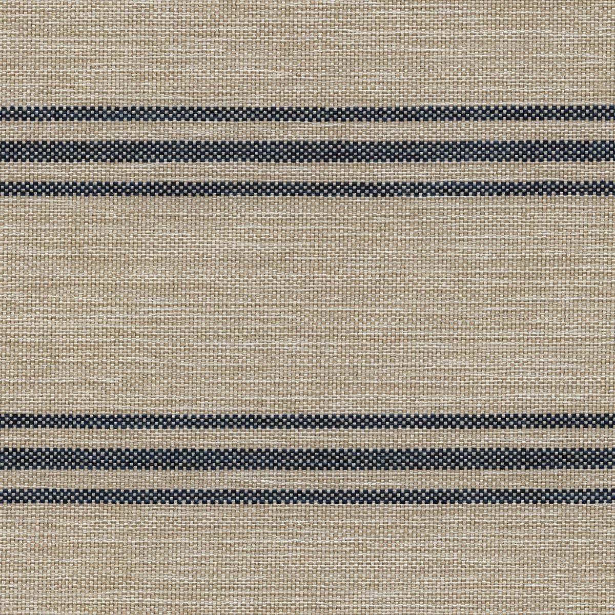 53016 INDIGO (NOVEL)