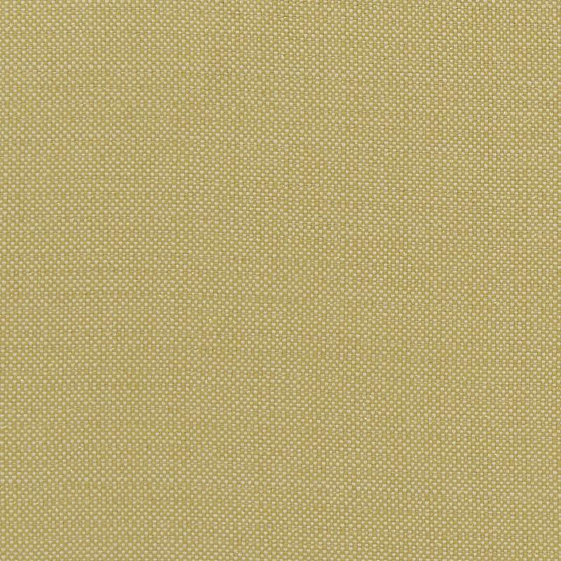Kauai Exotica Citron Fabric by Clarke and Clarke