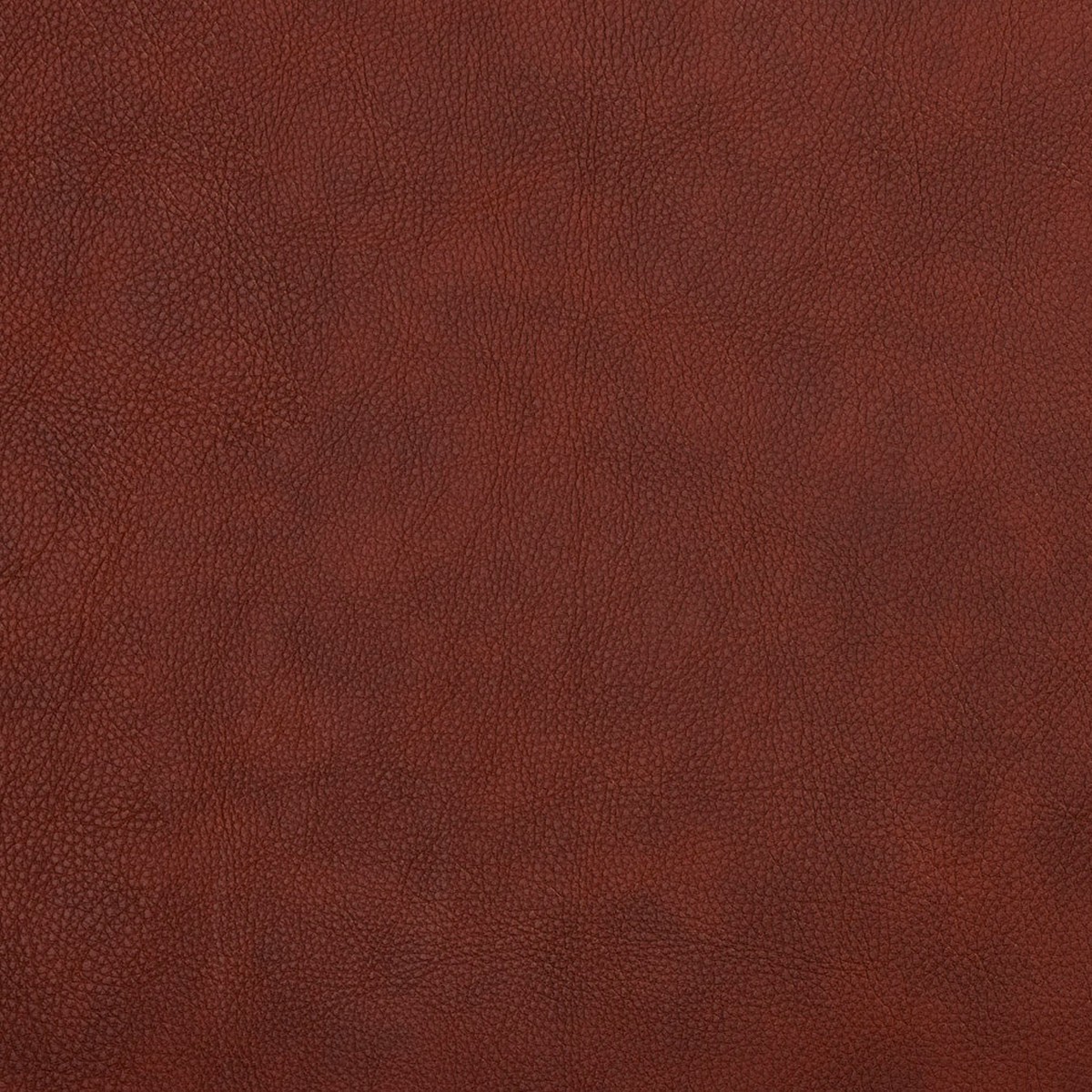 Charlotte Sable Fabric 7462