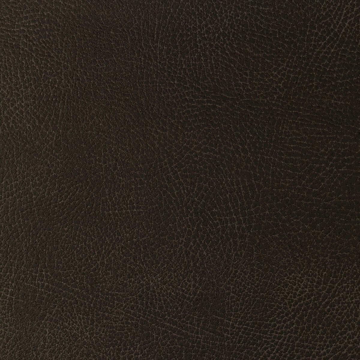 Glendale16660 Kravet Design Glendale 1666 Kravet Design Fabric
