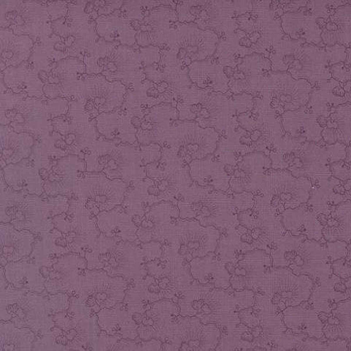 Moda - Wild Orchid Moth 2772