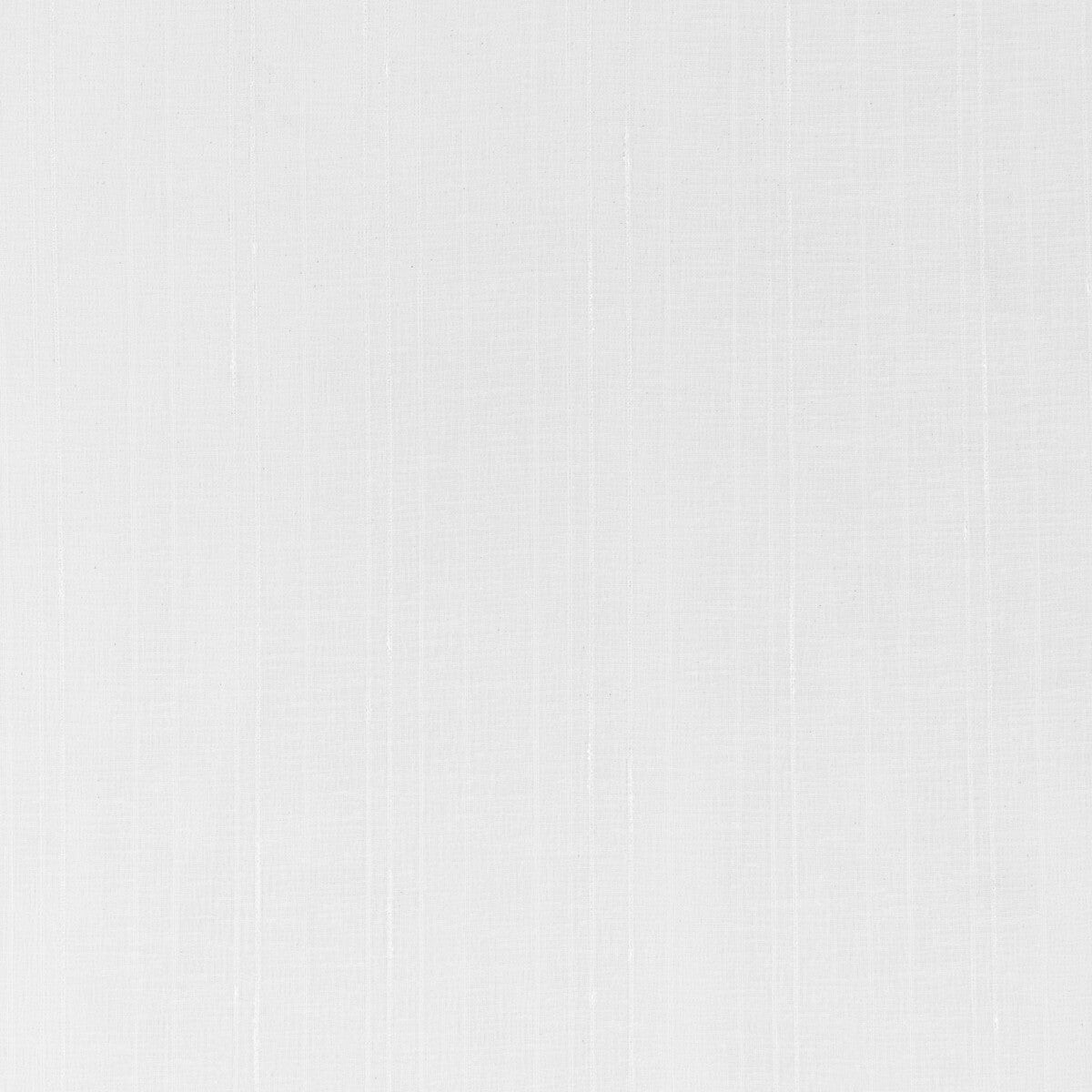 Kravet Basics 4858-101 Fabric