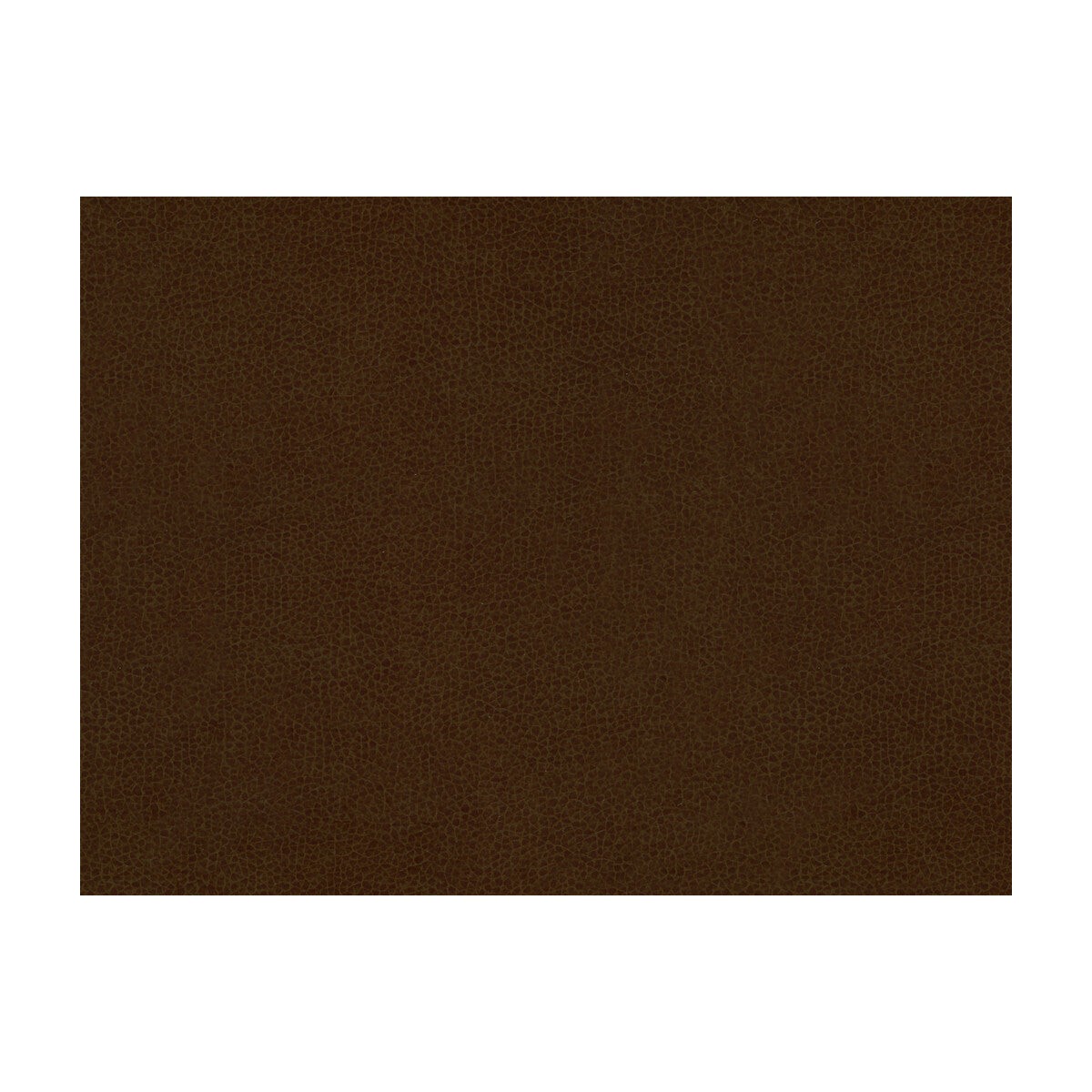 Abilene Cocoa Fabric