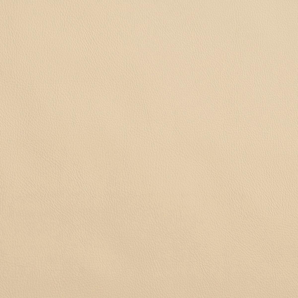Charlotte - 8065 - Ivory - Fabric by the Yard - Ivory