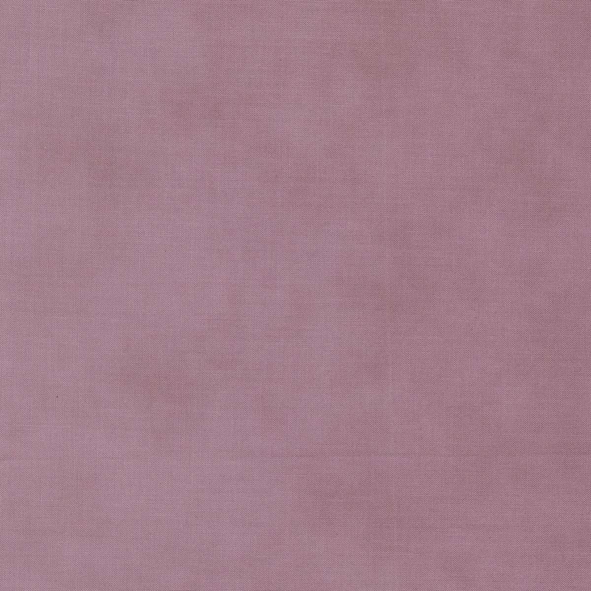 Collections Essence ~ 46279 12 Lavender