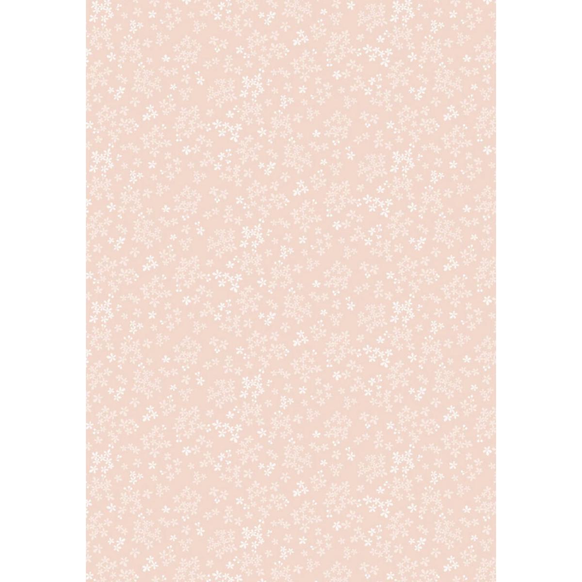 Sky Garden ~ Wintersweet ~ CC60.1 Pale Peach