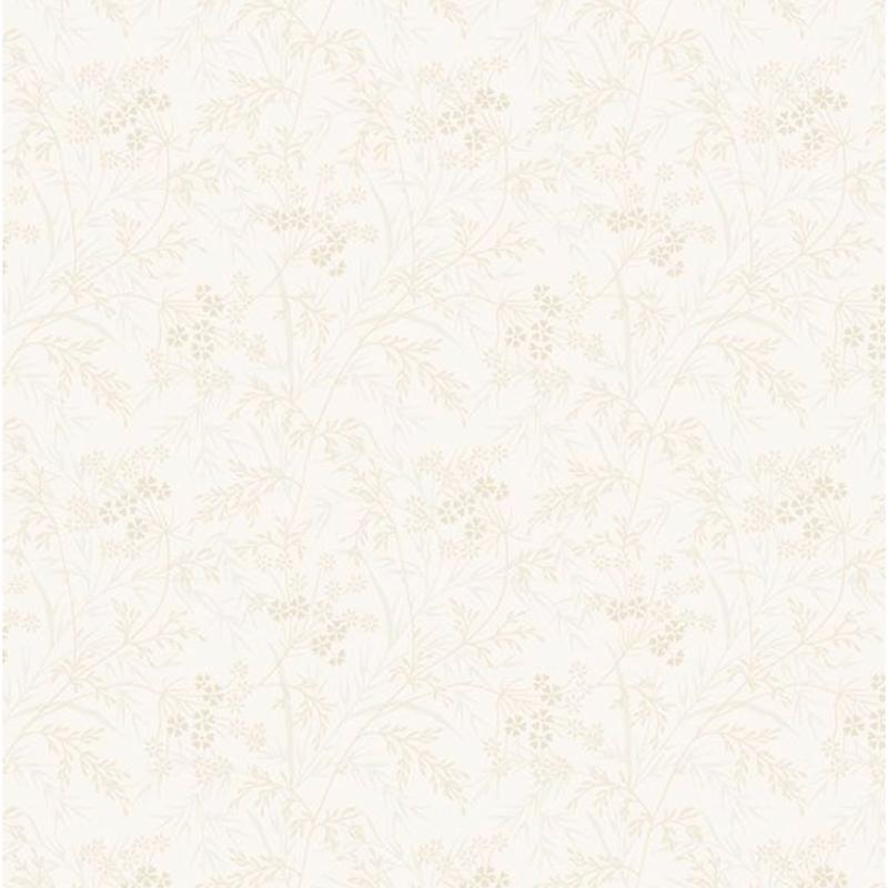 Dandy Pansies ~ Wispy ~ R651238D CREAM