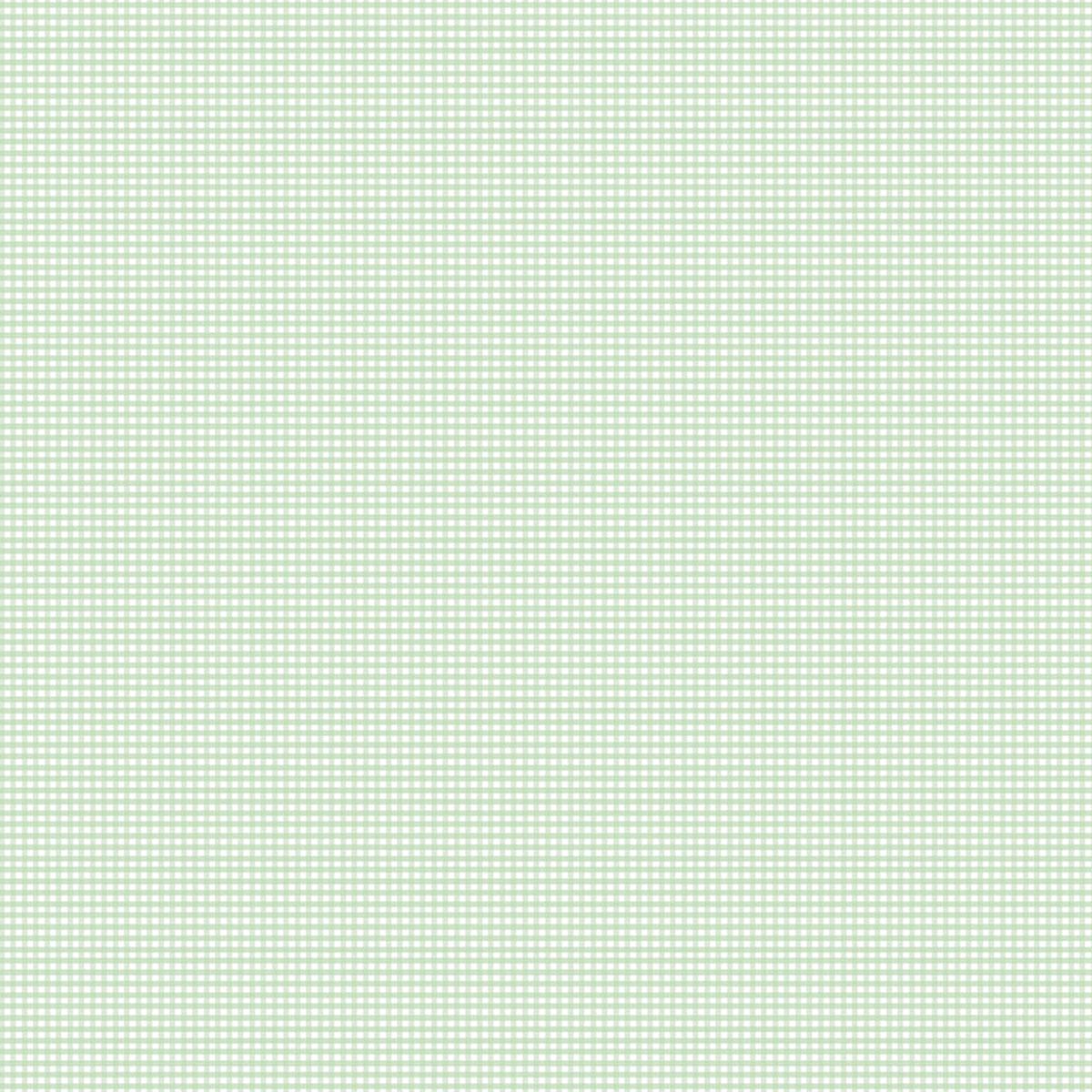 Gingham 2024 ~ Micro Gingham ~ C455-MINT