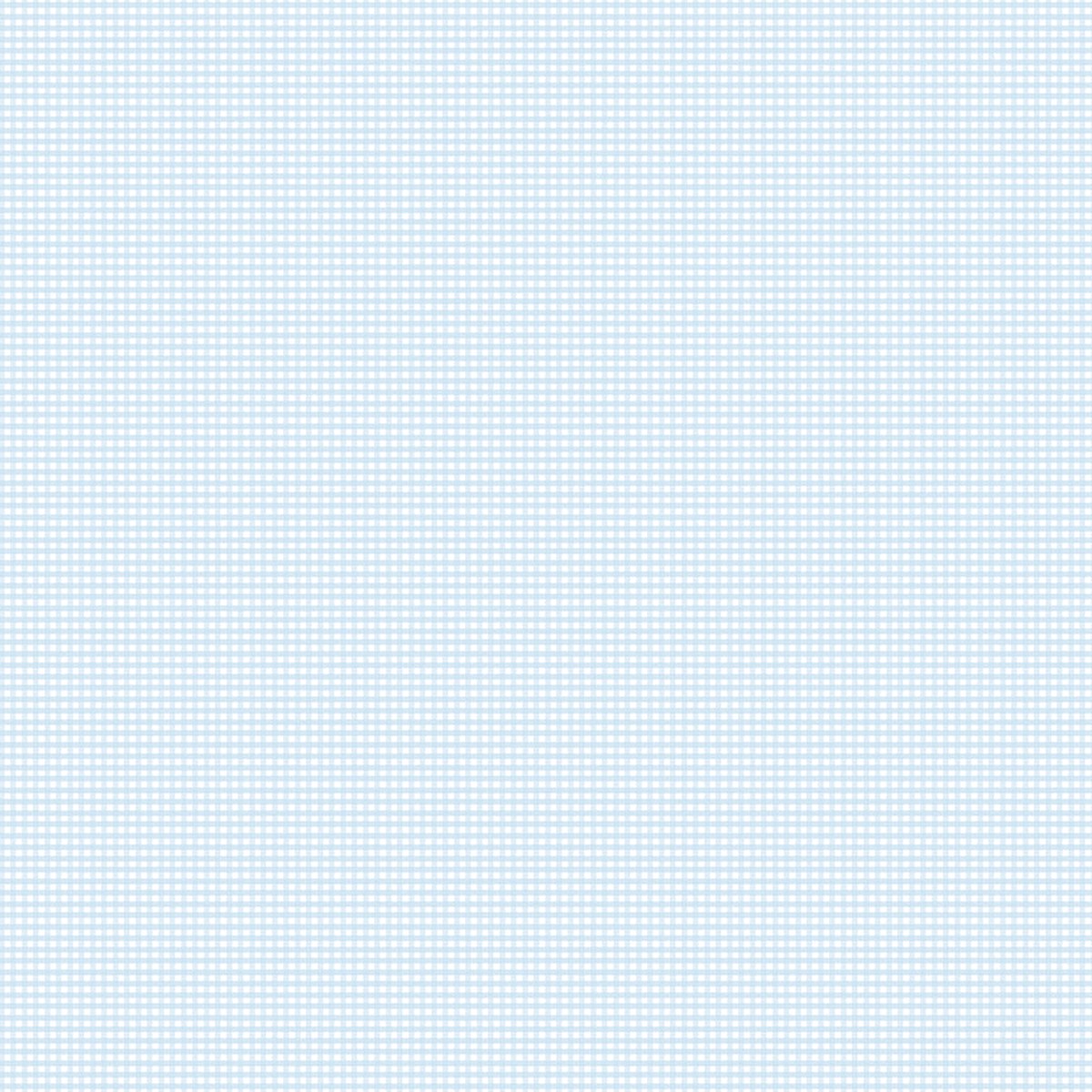 Gingham 2024 ~ Micro Gingham ~ C455-BOYBLUE