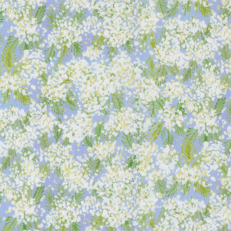 Sweet Cecily ~ Queen Ann ~ 24642 13 Hyacinth
