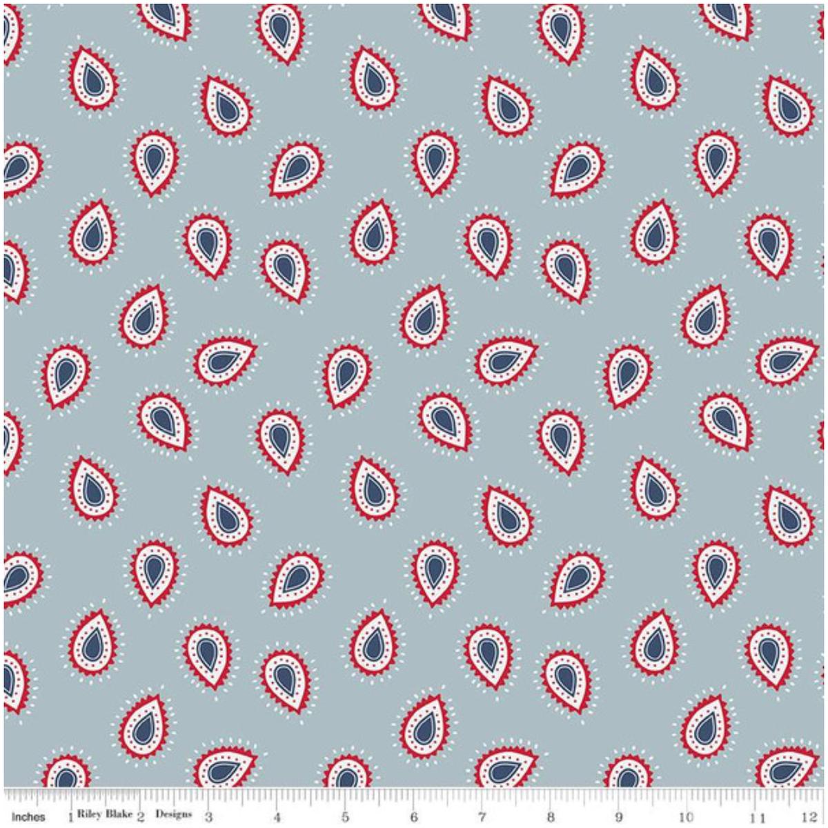 American Beauty ~ Paisley C14442 Storm ~ One Yard
