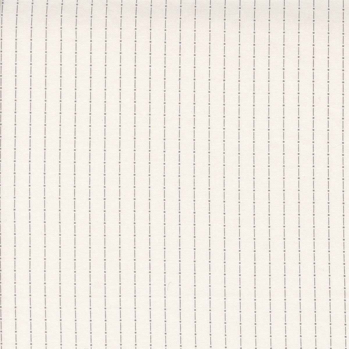Itty Bitty BG ~ Dotted Line ~ 49284 13 Grey
