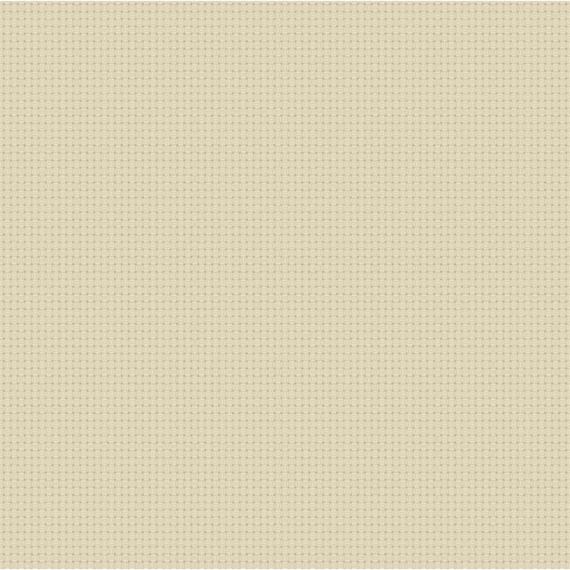 Cross Stitch Texture ~ A 806 N1 Sand
