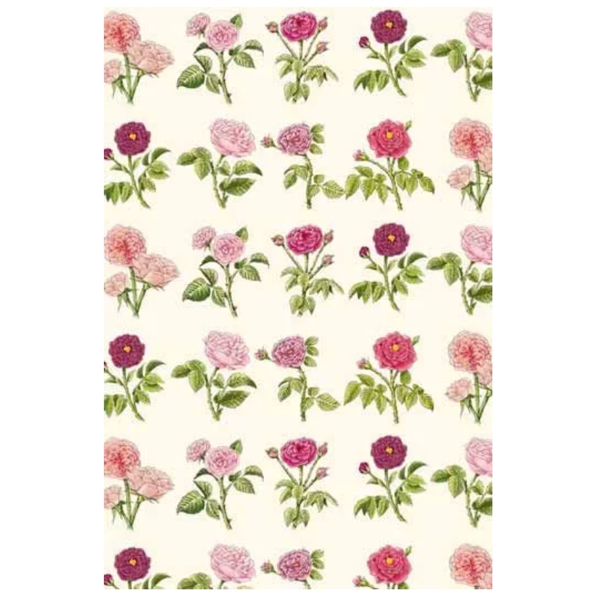 Sajou Cotton Fabric | Josephine's Roses Large - Fat Quarter