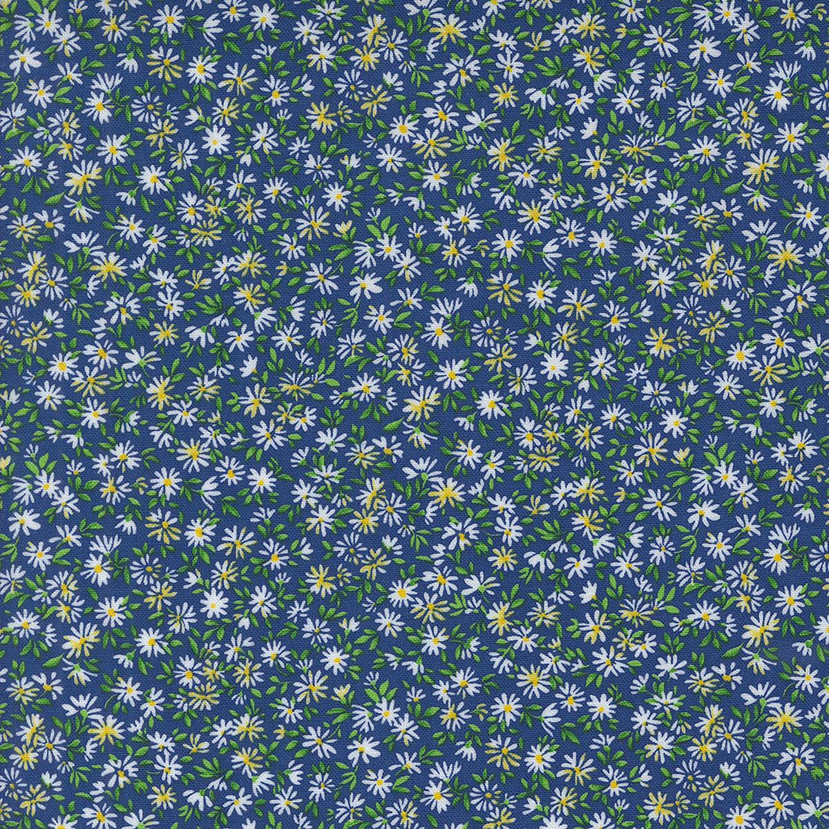 Wildflowers 2024 ~ Daisy Field 33776 12 Bluebonnet