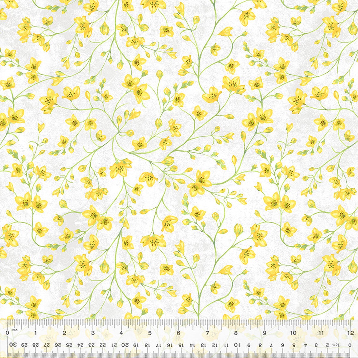 Tulip Fields ~ Blooming Buds ~ 54163-1 White