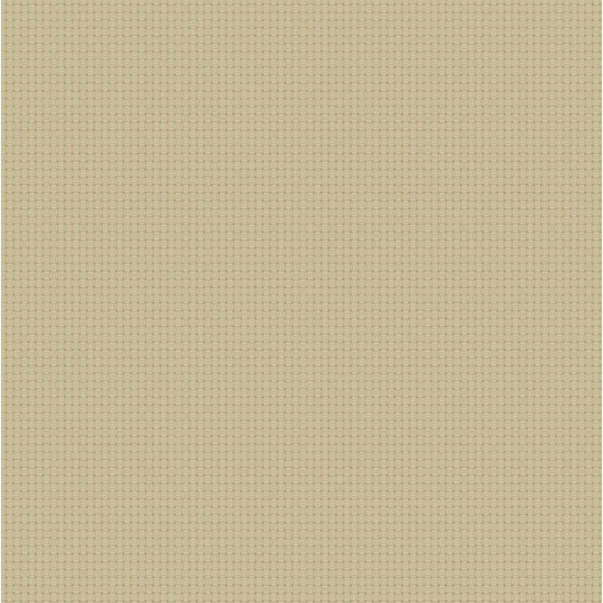 Cross Stitch Texture ~ A 806 N2 Oat
