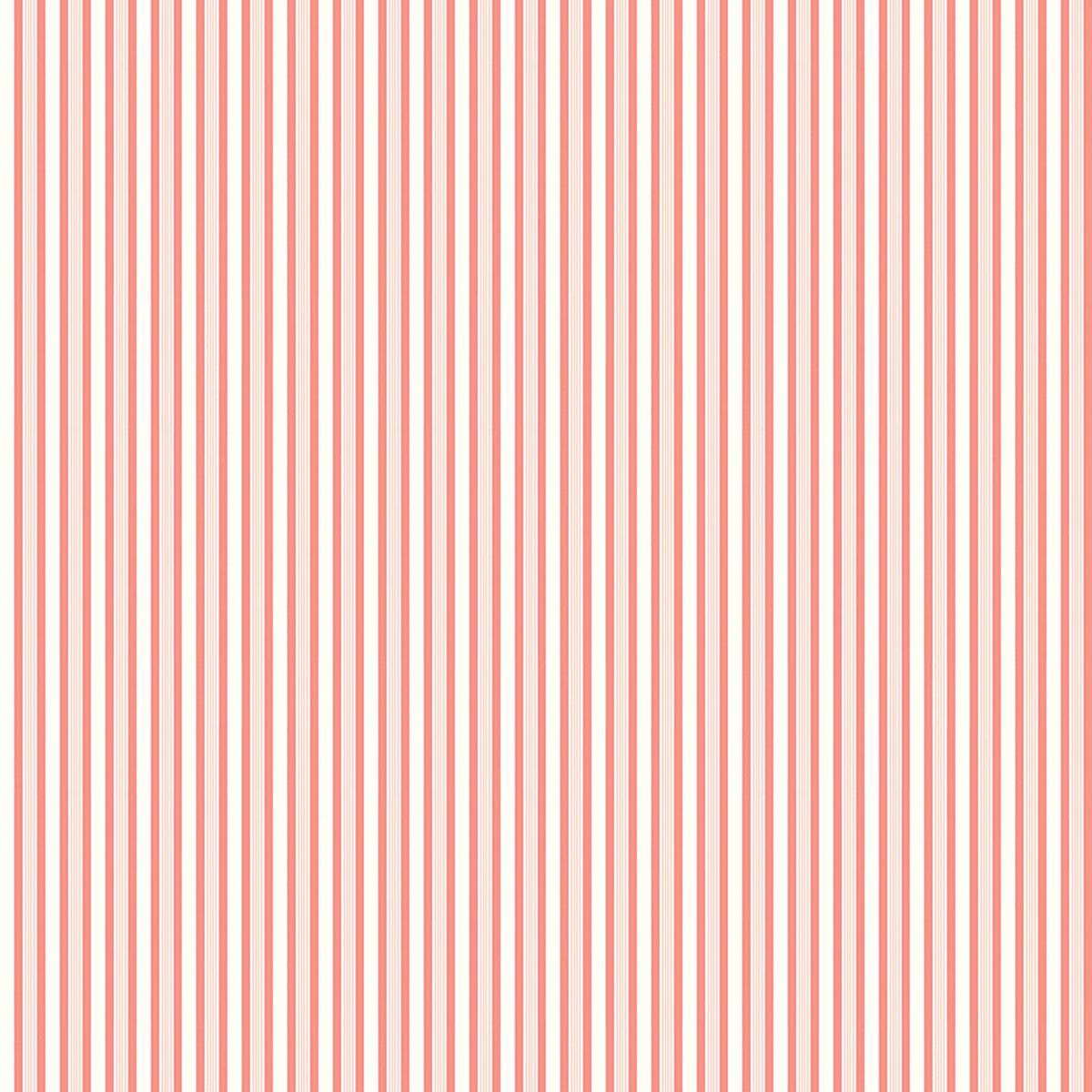 Melody ~ Stripes ~ C15146-SALMON