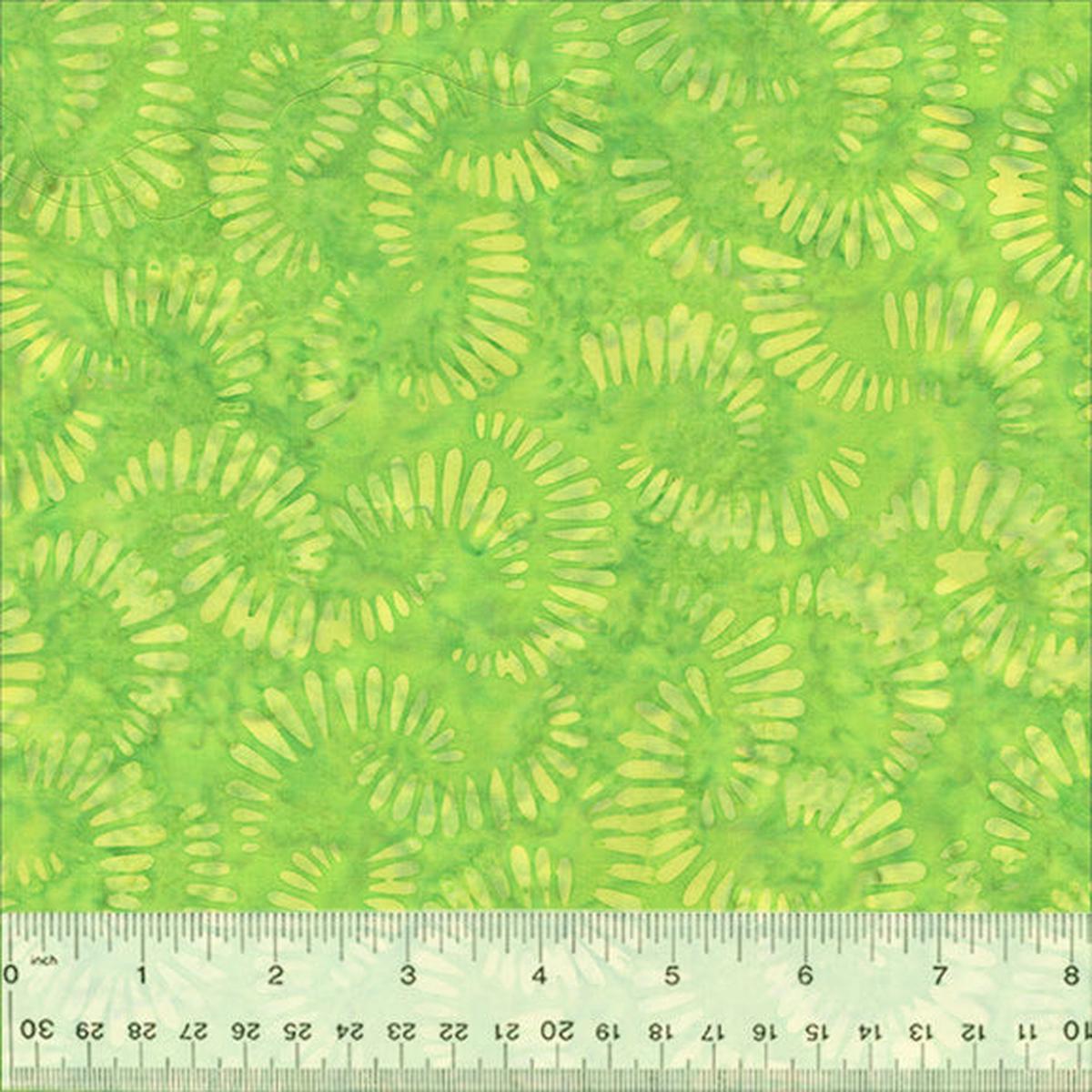 QE7 ~ Splendor ~ Citrus Slices ~ 440Q-4 Lime