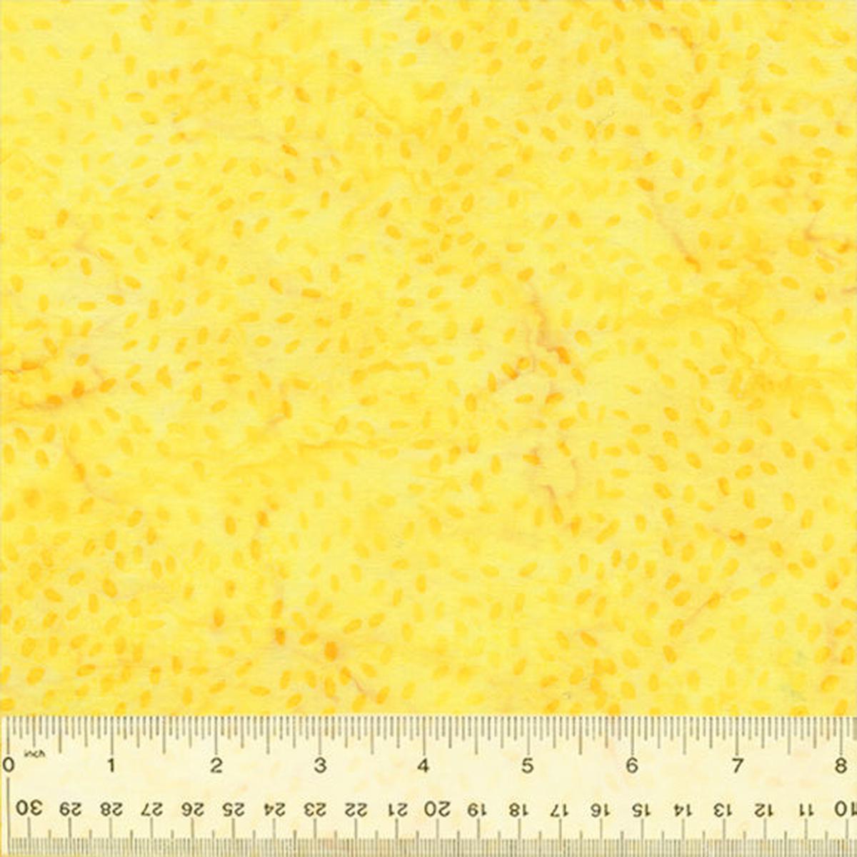 QE7 ~ Splendor ~ Seeds ~ 443Q-2 Butter