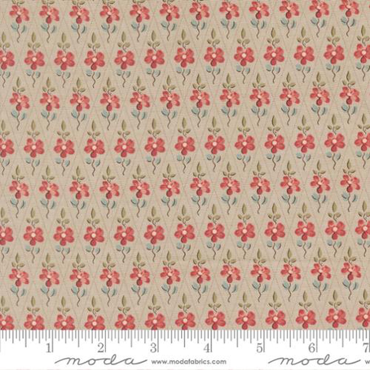 Fleur De Paris ~ 13997 14 Smoke