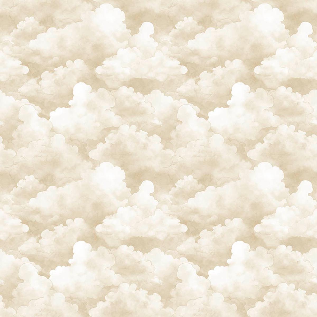 Bearsville ~ Clouds ~ 31264 E Tan
