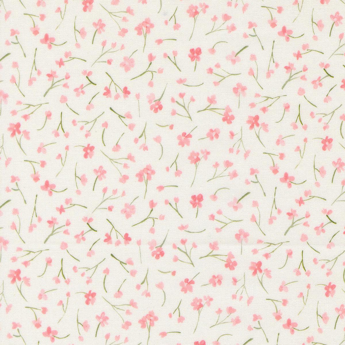 Sweet Cecily ~ Forget Me Not ~ 24644 12 Rose