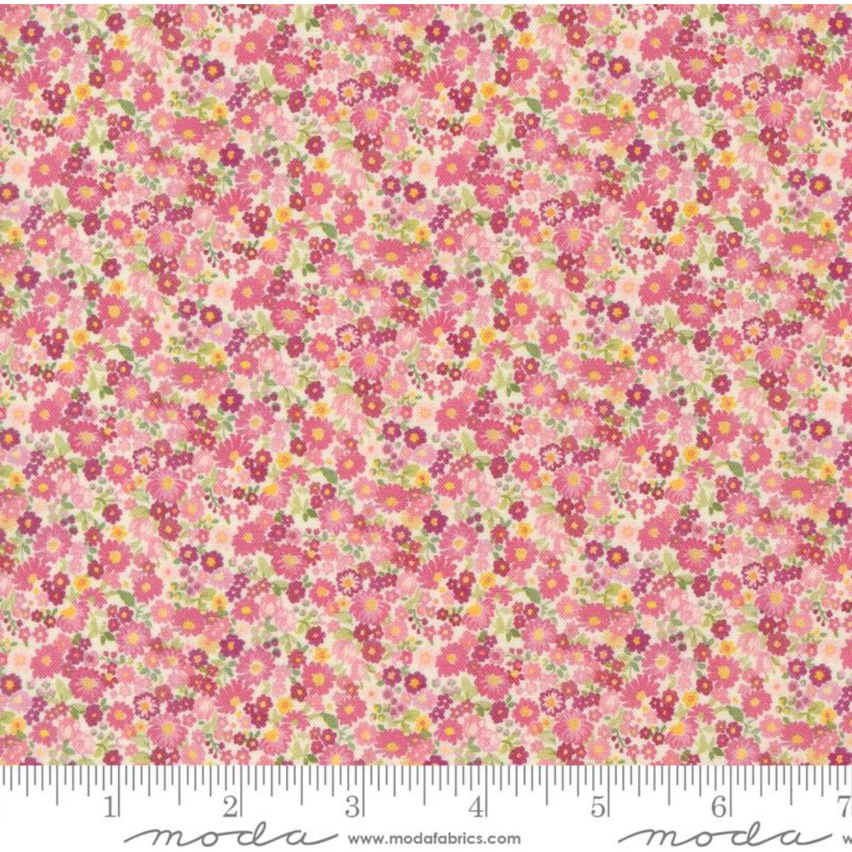 Chelsea Garden ~ Galavanting Garden ~ 33746 14 Cameo ~ One Yard