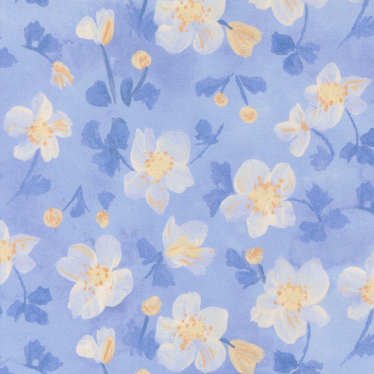 Sweet Cecily ~ Anemone ~ 24641 14 Hyacinth