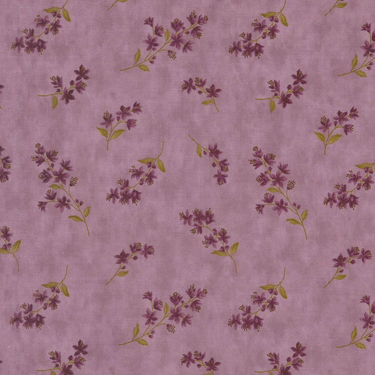 Collections Essence ~ 46274 12 Lavender