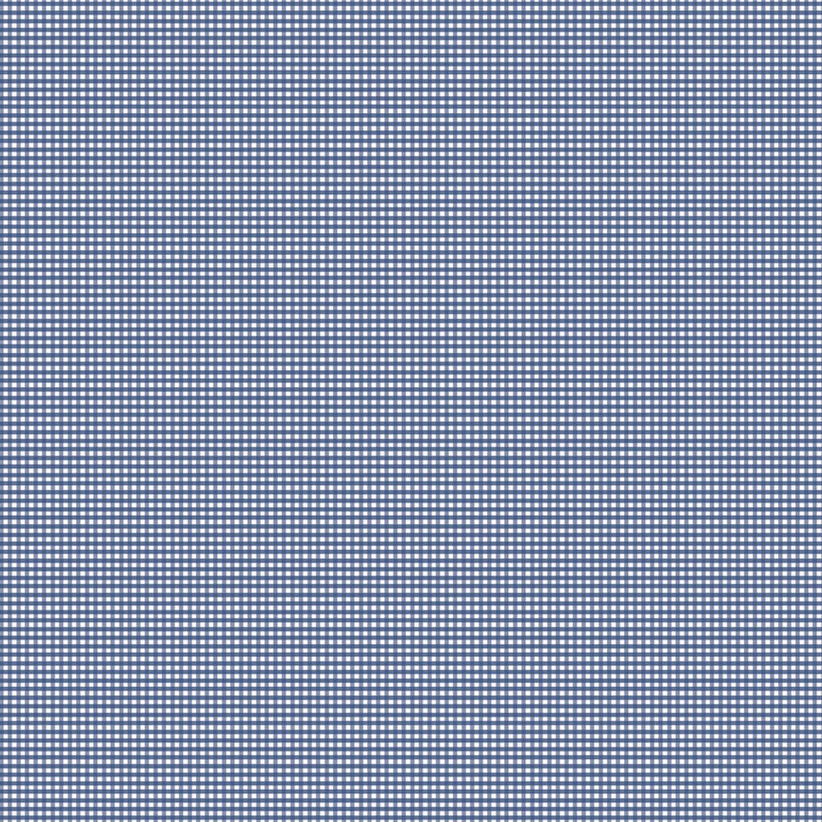 Gingham 2024 ~ Micro Gingham ~ C455-DENIM