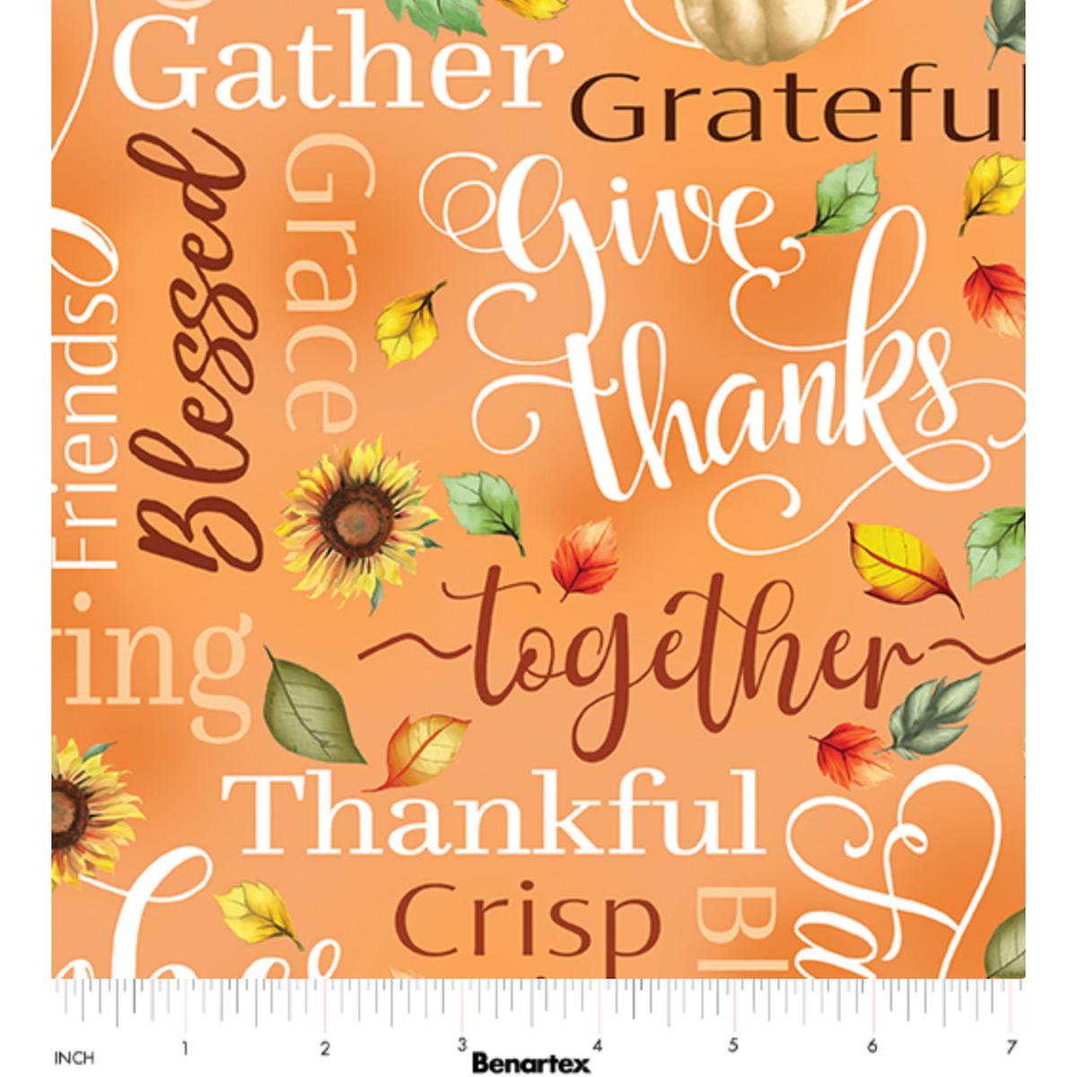Give Thanks ~ Thankful Words 14935-38 Orange