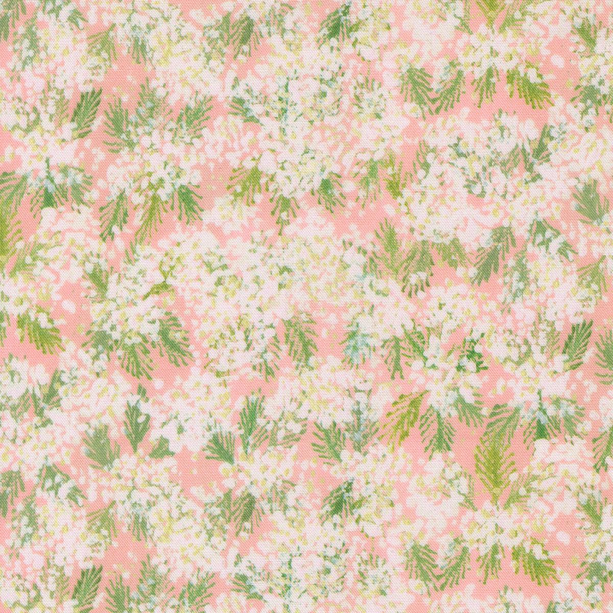 Sweet Cecily ~ Queen Ann ~ 24642 11 Rose