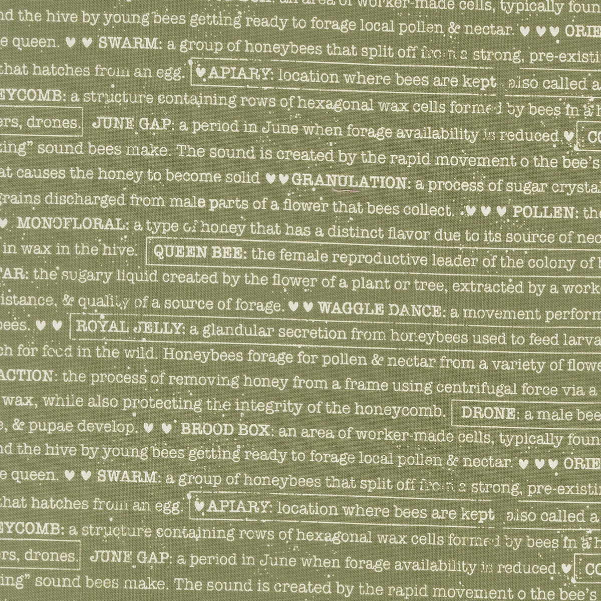 Wild Honey ~ Buzz Words ~ 5254 15 Fern