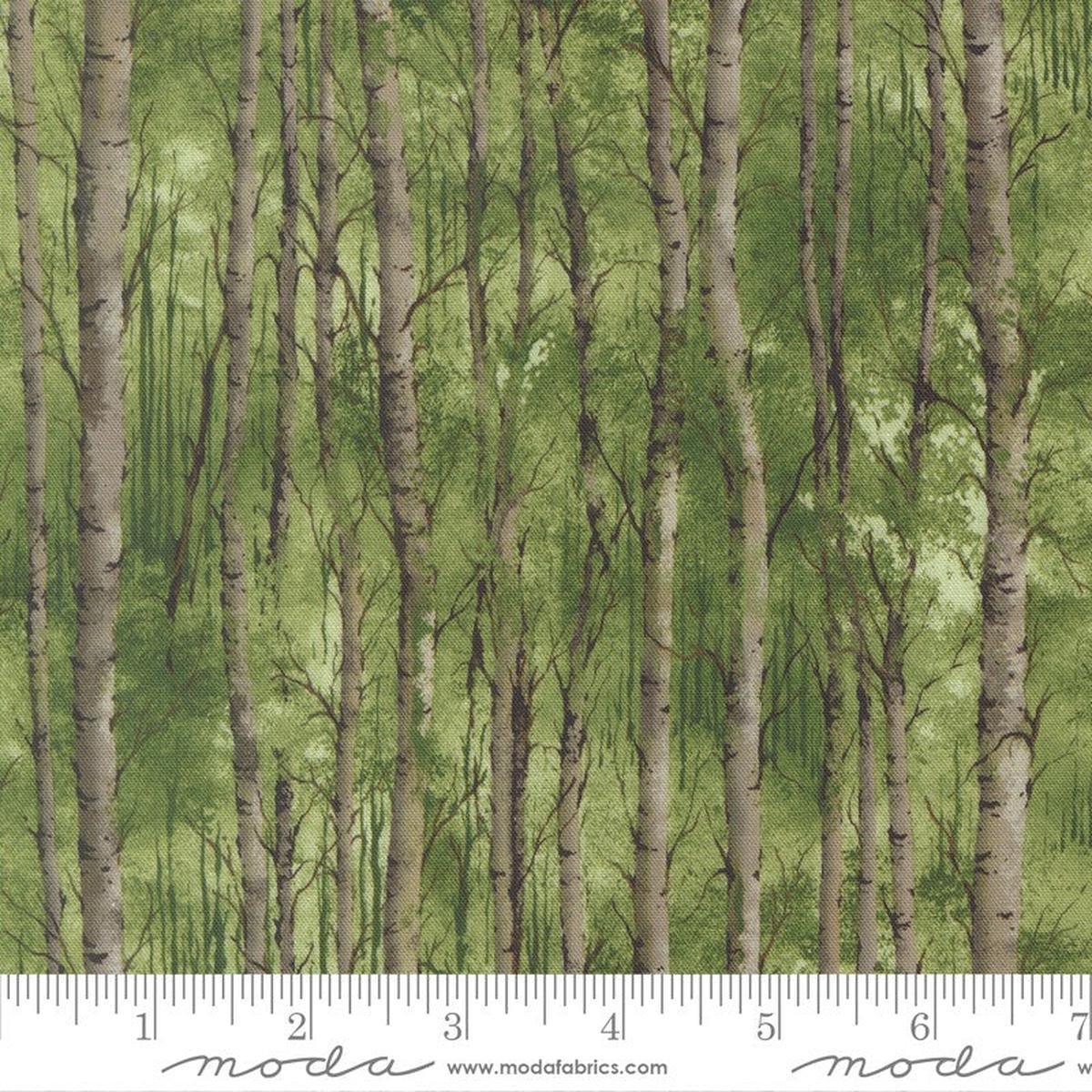 Wild Blue Yonder - Birch Grove in Pine - Moda