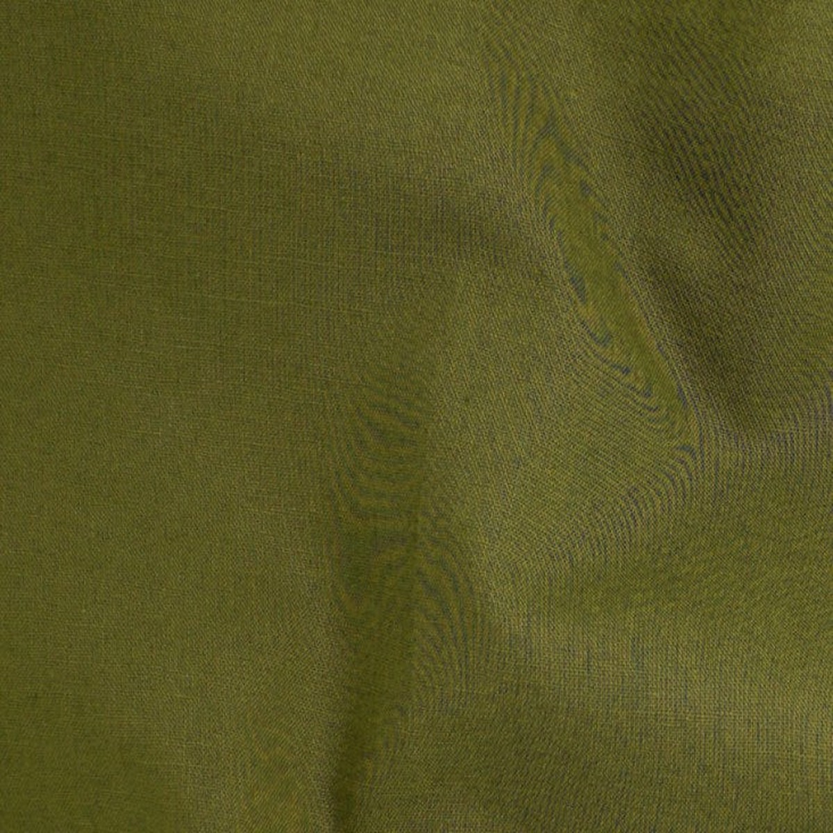 Confetti Canvas (58") - Kale - Telio - Bolt (15m)
