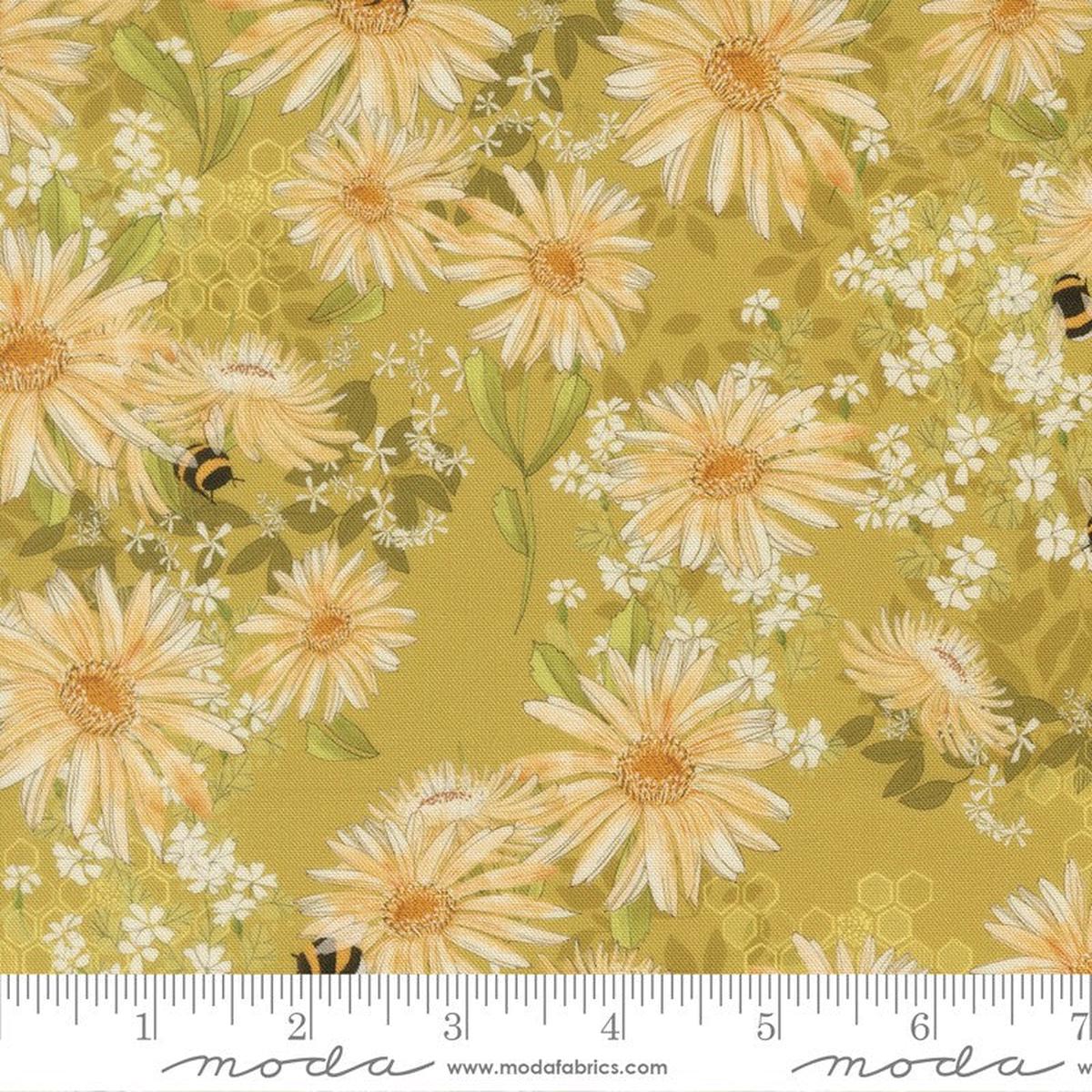 Pollinators - Daisies in Golden - Robin Pickens - Moda (Pre-order: Jan 2027)