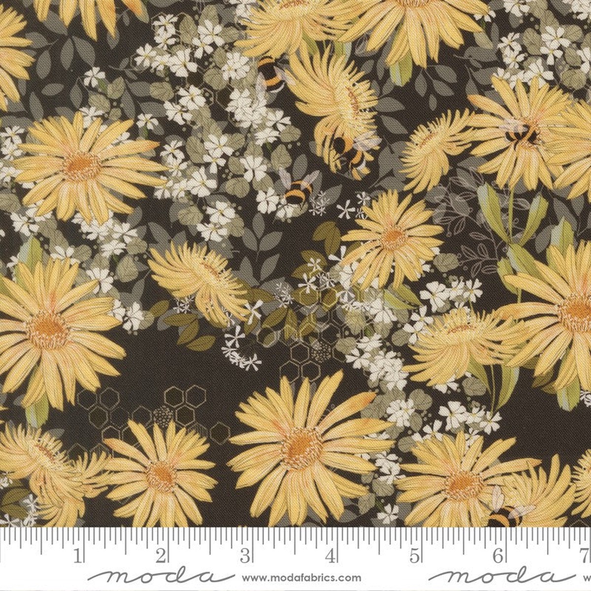 Pollinators - Daisies in Onyx - Robin Pickens - Moda (Pre-order: Jan 2027)
