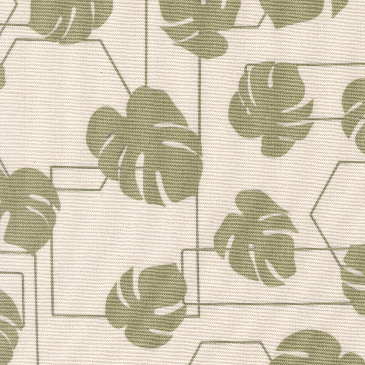 Potted CANVAS - Ash - Kiley's Room 26142CV-12 - Moda