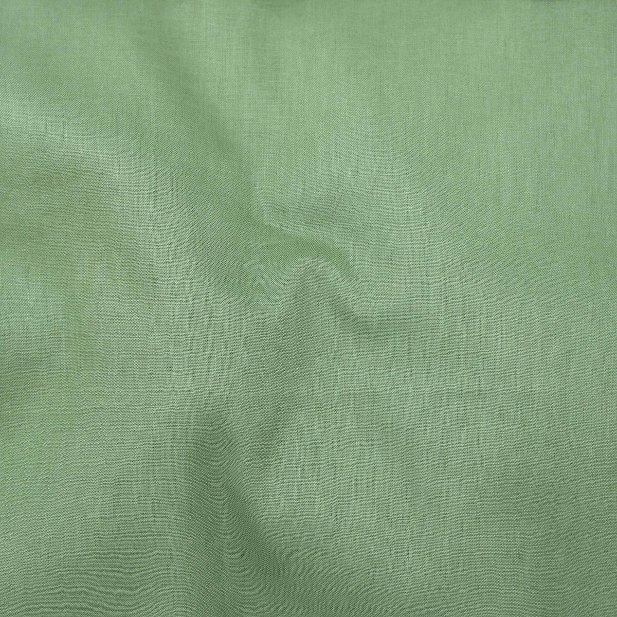 Confetti Canvas (58") - Sage - Telio - Bolt (15m)