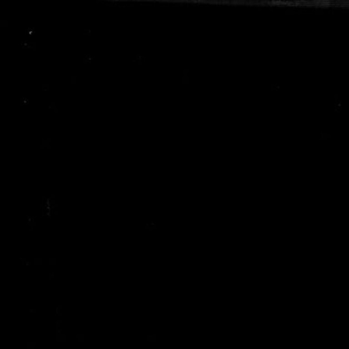 Fireside Backing Fabric (90") - Black