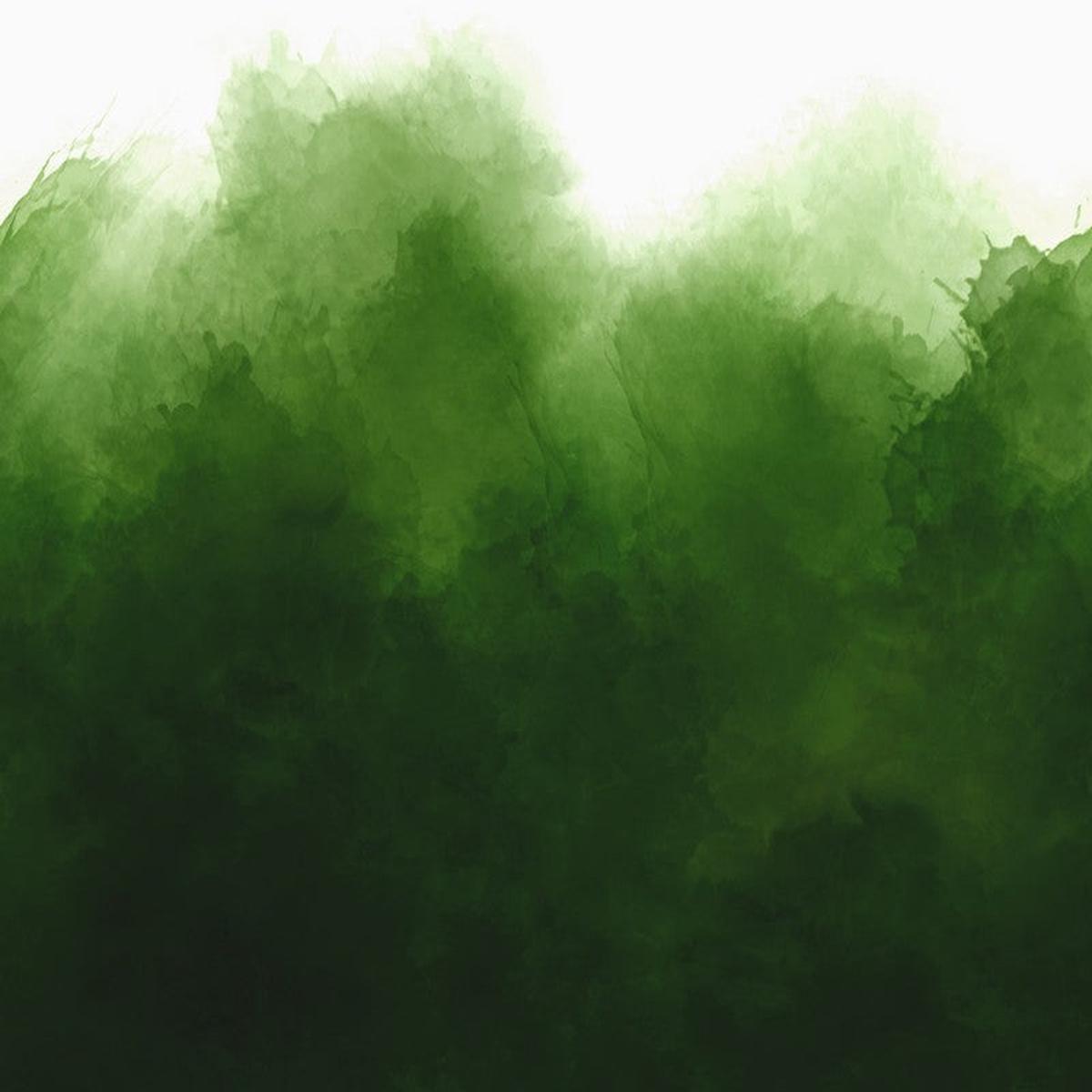 Mystic Ombre - Evergreen - V & Co - Moda