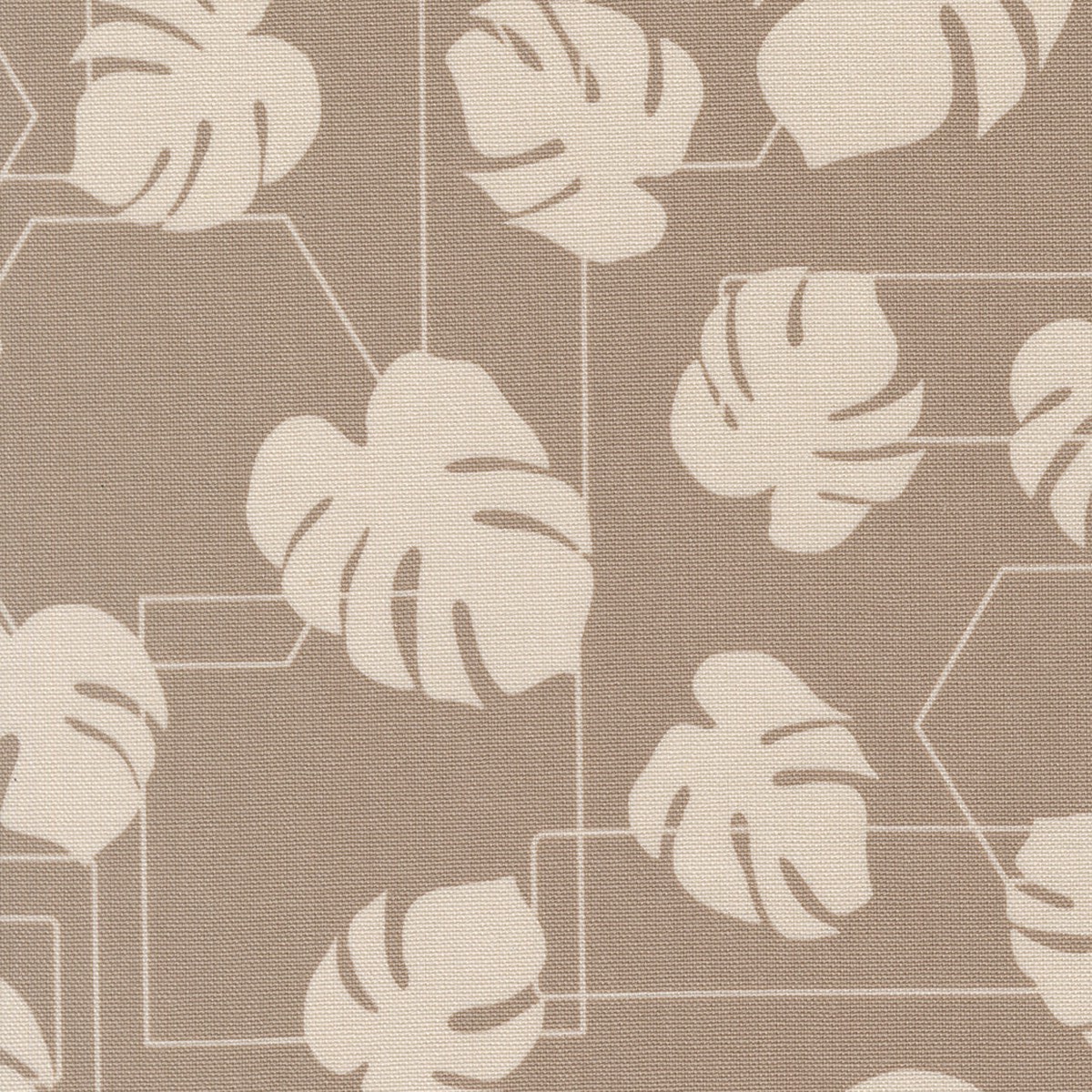 Potted CANVAS - Stone - Kiley's Room 26142CV-13 - Moda