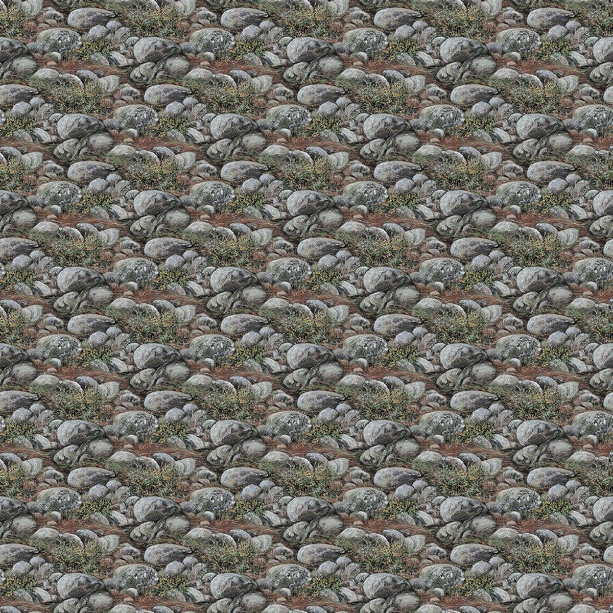 Guardians - Boulders in Dark Grey - Deborah Edwards - Northcott (Pre-order: Nov 2026)