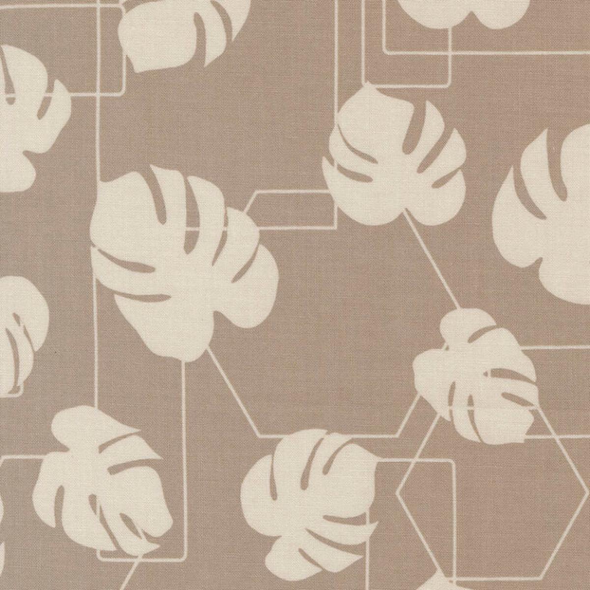 Potted - Ash - Kiley's Quilt Room - Moda 26142-13