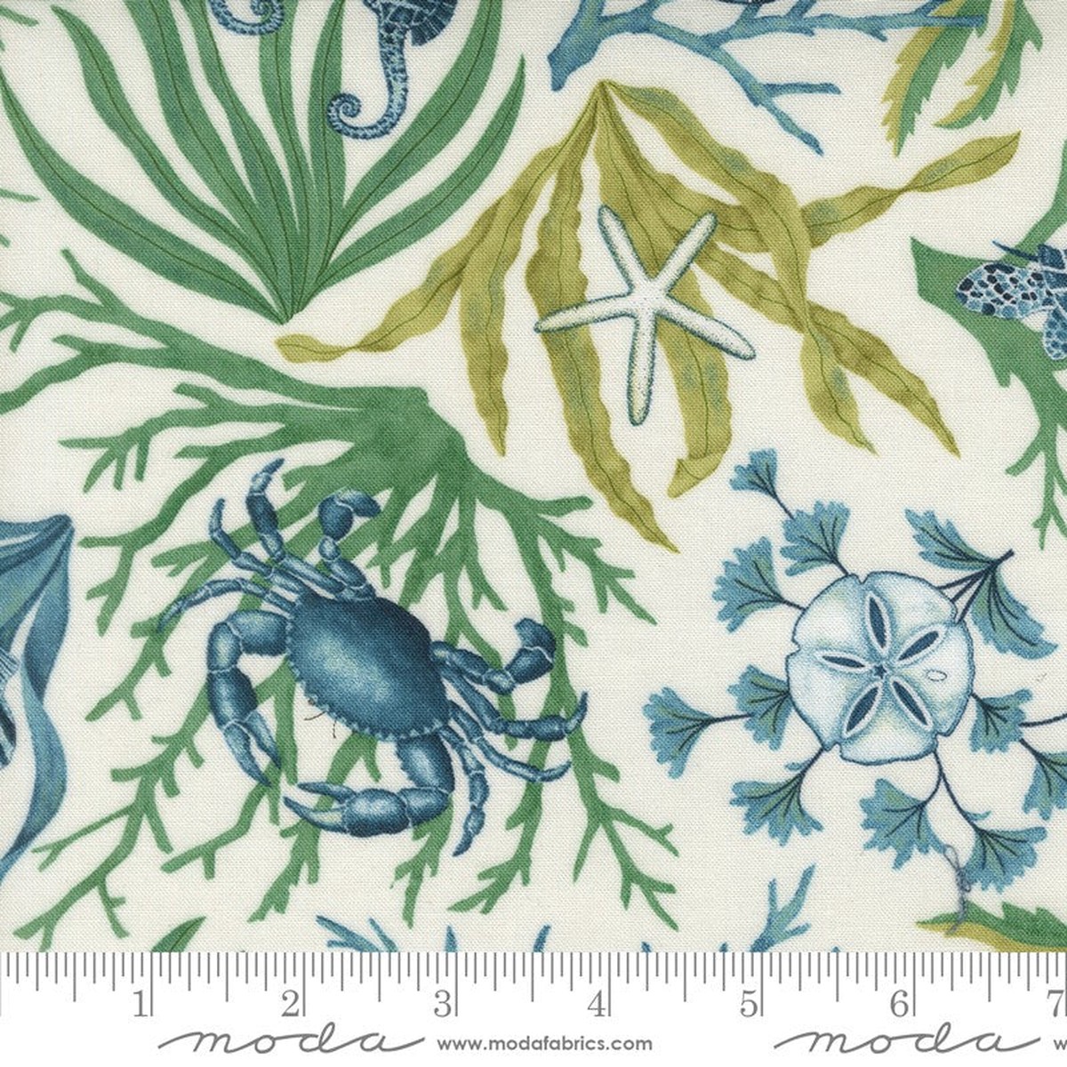 Seaside - Coastal in Seafoam White - Deb Strain - Moda (Pre-order: Feb 2027)